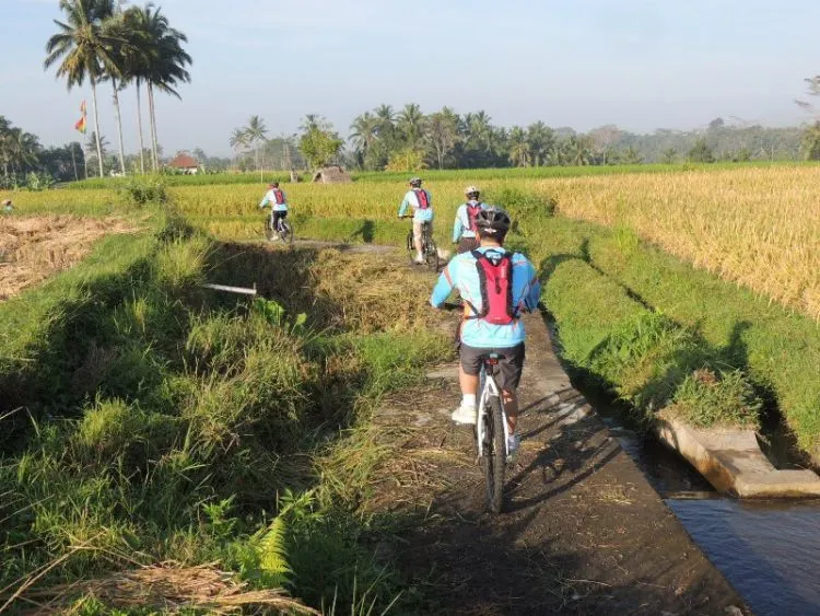 8 Alasan yang Membuat Ubud Jadi Getaway Terbaik Untuk Merampungkan Skripsimu 14