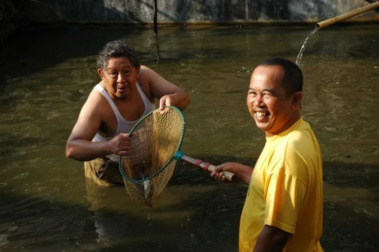 Untuk Ompung yang Selalu Kurindu, Semoga Aku Bisa Cepat Pulang ke Kampung Halaman Kita 11