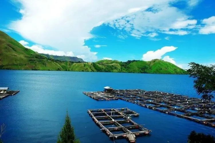 Untuk Ompung yang Selalu Kurindu, Semoga Aku Bisa Cepat Pulang ke Kampung Halaman Kita 12