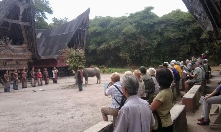 Untuk Ompung yang Selalu Kurindu, Semoga Aku Bisa Cepat Pulang ke Kampung Halaman Kita 14