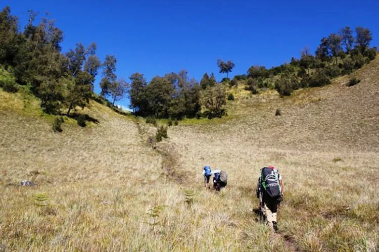 Panduan Tuntas Mendaki Sampai Mahameru, Puncak Abadi Para Dewa 12