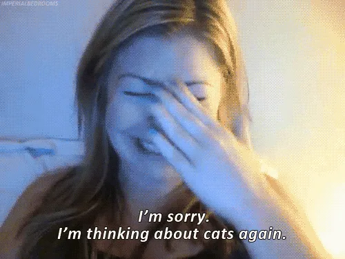 Hal-hal Unik yang Kamu Rasakan Ketika Pacaran Sama Pecinta Kucing 8
