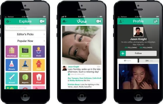 Design Vine