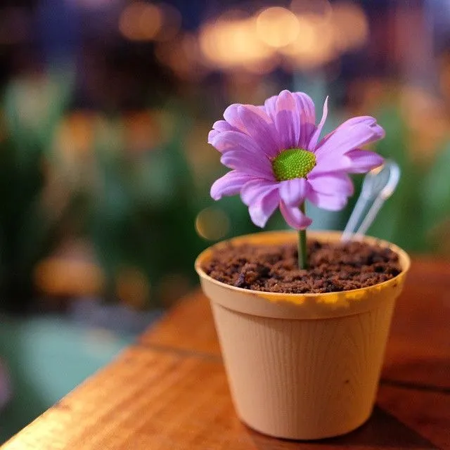 5 Resep Es Krim Dalam Pot yang Cantik Ini, Lezat dan Gampang Dibikin Sendiri 7