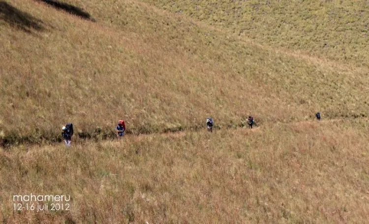 Tidak Semua Orang Bisa Mengerti. Namun Beginilah Gunung Membuat Kita Jatuh Hati 6