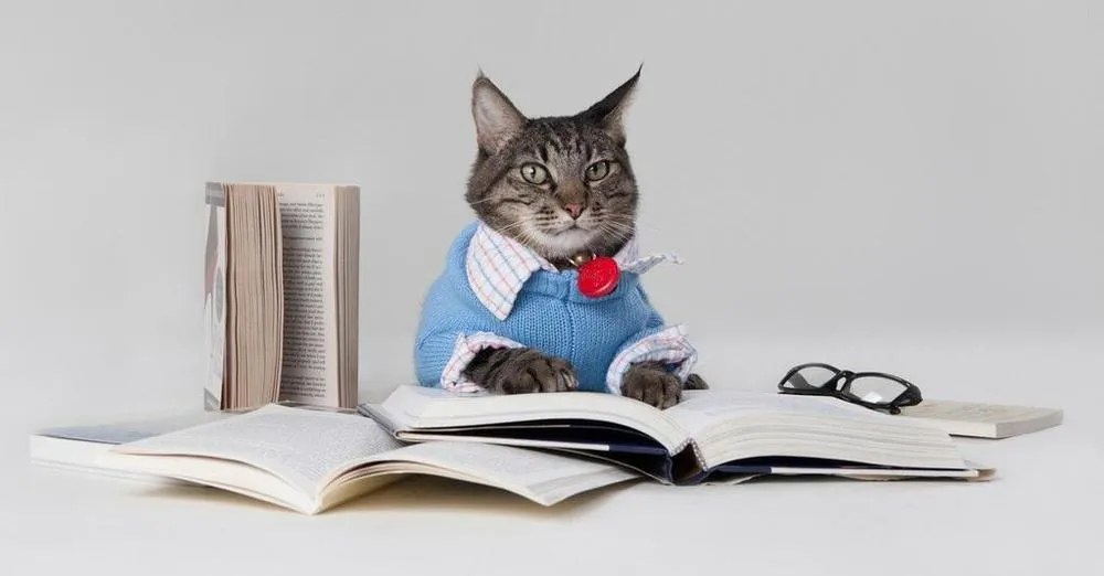 10 Perbedaan Paling Jelas Antara Kamu yang Sayang Anjing dan Kamu yang Lebih Suka Kucing 12