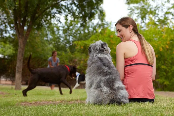 10 Perbedaan Paling Jelas Antara Kamu yang Sayang Anjing dan Kamu yang Lebih Suka Kucing 18