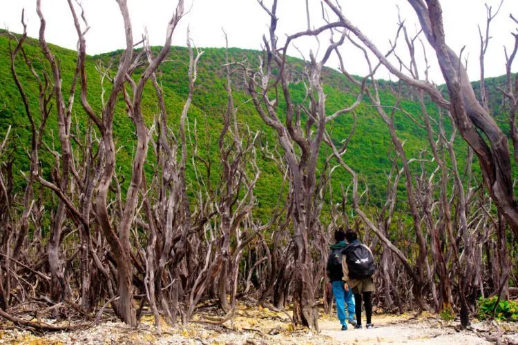 8 Tips Biar Kamu Tetap Aman Saat Mengabadikan Momen-Momen Istimewa Di Puncak Gunung 13