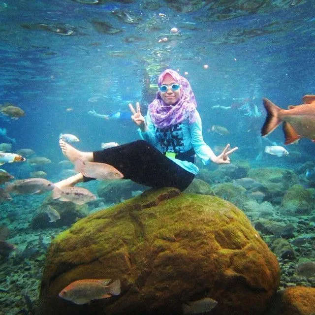 Umbel Ponggok by @siskaaseptiana