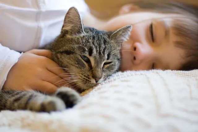 cat purring