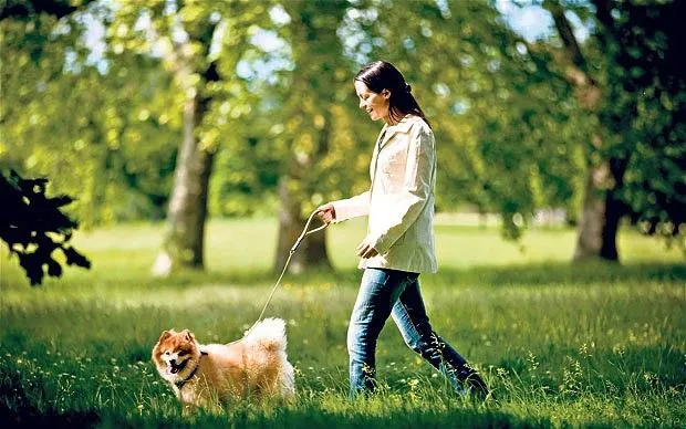 10 Perbedaan Paling Jelas Antara Kamu yang Sayang Anjing dan Kamu yang Lebih Suka Kucing 15