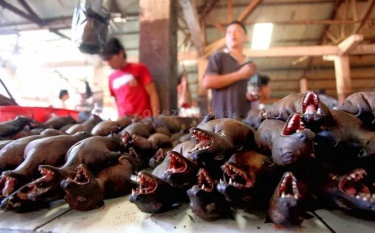 Jangan Ngaku Penikmat Kuliner Sejati Jika Belum Mendatangi 7 Kota Surga Kuliner Ini! 14