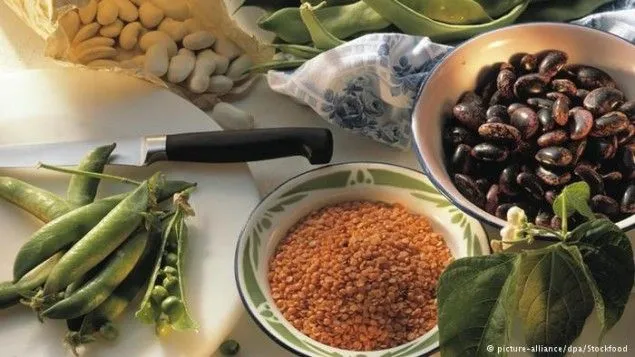 Makanan yang Dapat Menghilangkan Stres, Cocok Untuk Mahasiswa yang Lagi Skripsi 5