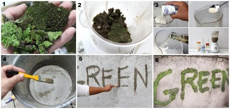 Hanya Bermodal Blender dan Lumut, Grafiti Indah Ala Seniman Handal Bisa Kamu Buat Sendiri 9