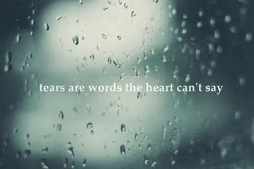 tears are words the heart can't say