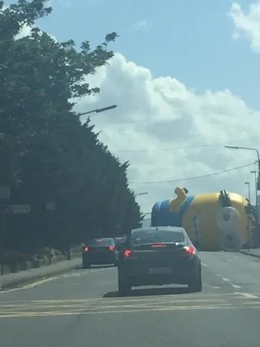 Kuning, Panjang, Bulat dan Berserakan di Jalan: Minion! 10