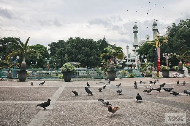 15 Kesejukan Ini Hanya Dirasakan Oleh Kamu yang Pernah Tinggal di Malang Sepanjang Tahun '90-an 23