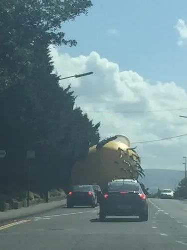 Kuning, Panjang, Bulat dan Berserakan di Jalan: Minion! 12