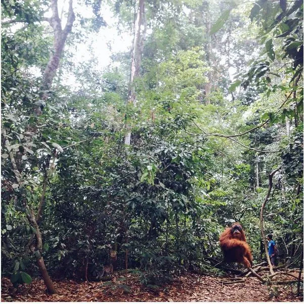 Daftar Taman Nasional di Indonesia yang Wajib Kamu Kunjungi Setidaknya Seumur Hidup Sekali 10