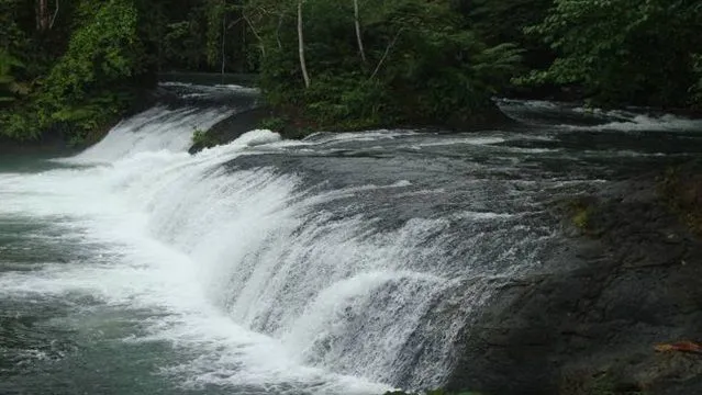 Air terjun dan hutan peawan