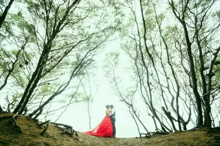 Tanpa Perlu Bayar Sewa, 10 Lokasi Gratisan di Jogja Ini Bikin Foto Preweddingmu Lebih Mempesona 19