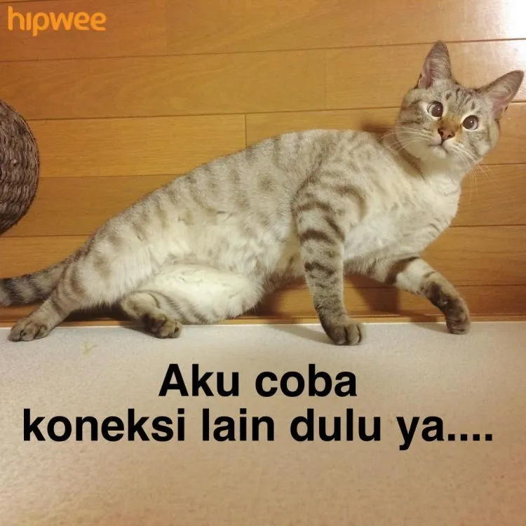 13 Hal yang Akrab Banget Terjadi Buat Jomblo yang Handphonenya Selalu Sepi 32