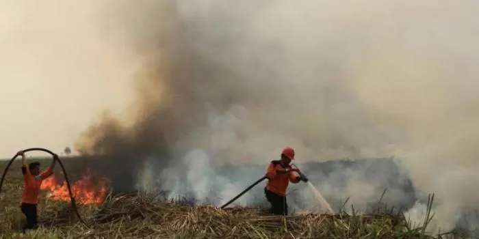 Kerugian Indonesia Karena Asap Kemarin = Dua Kali Biaya Rekonstruksi Pascatsunami Aceh 7