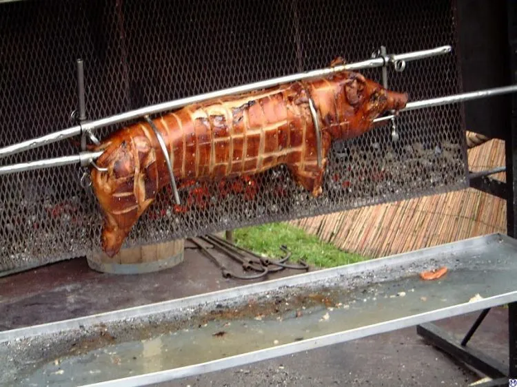 7 Pikiran yang Terlintas di Kepalamu Setiap Kali Orang Bilang Daging Babi Itu Enak 13