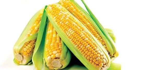 Jagung