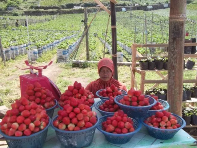 10 Destinasi Wisata Magetan,