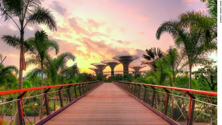 8 Destinasi Gratis di Singapura yang Bisa Kamu Kunjungi Dengan Bujet 0 Rupiah Saja 22