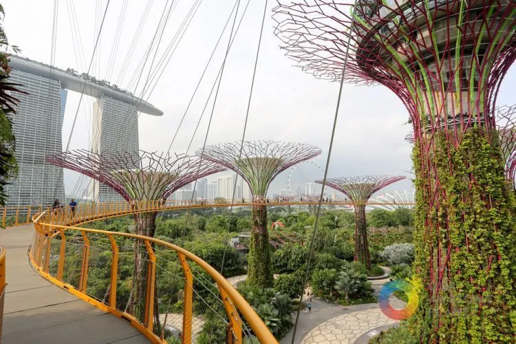 Mau Bikin Orang Tua Bahagia? Ajak Mereka Melakoni 7 Hal Ini di Singapura! 9