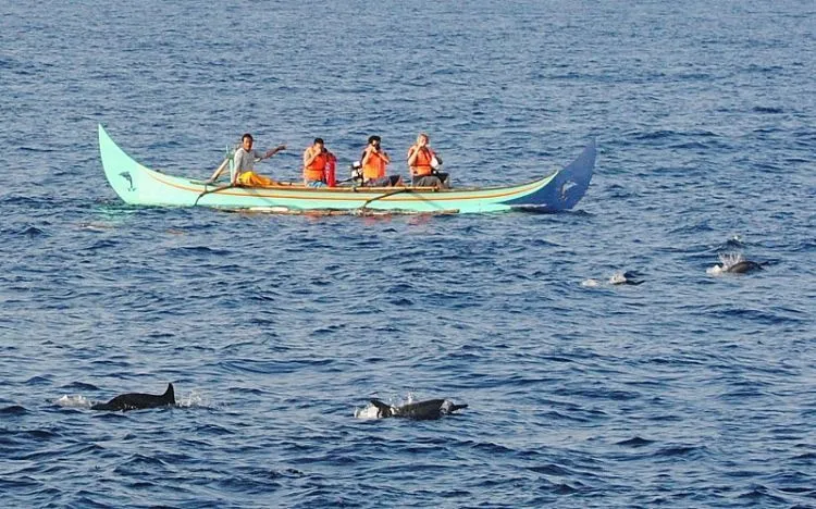 Destinasi Wisata Lampung, Sajikan Panorama yang Indah Banget! 16