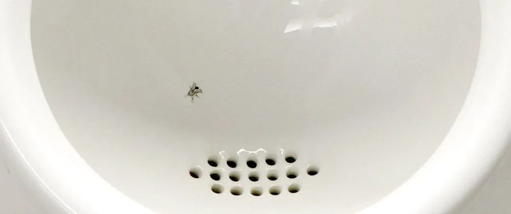 Alasan Kenapa Ada Lalat (Ya, Lalat) di Urinoir Toilet Cowok
