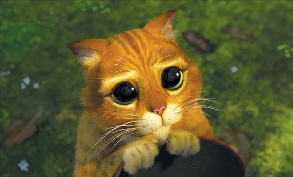 Surat Terbuka untuk Pus, Kucing Kesayangan yang Takkan Pernah Bisa Kumarahi 6