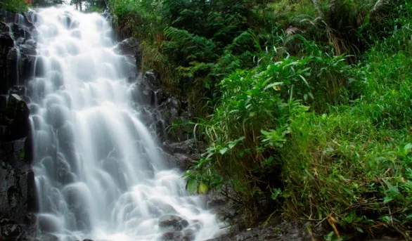 10 Destinasi Wisata Magetan, rekomendasi tempat liburan magetan