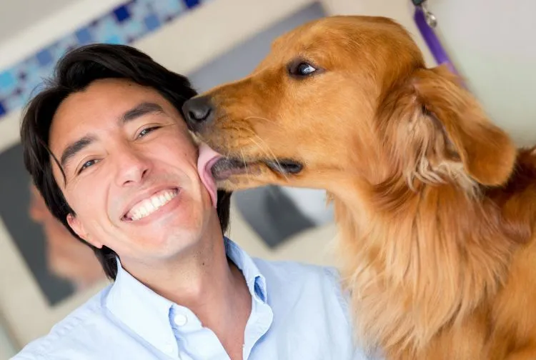 Bukan Sekadar Hewan Peliharaan. Seperti Seorang Teman, Anjing Pun Layak Mendapat Penghargaan 12
