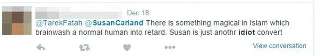 Di-Bully Karena Muslim dan Berjilbab, Susan Berdonasi Untuk Tiap Hate Tweets yang Diterimanya 7