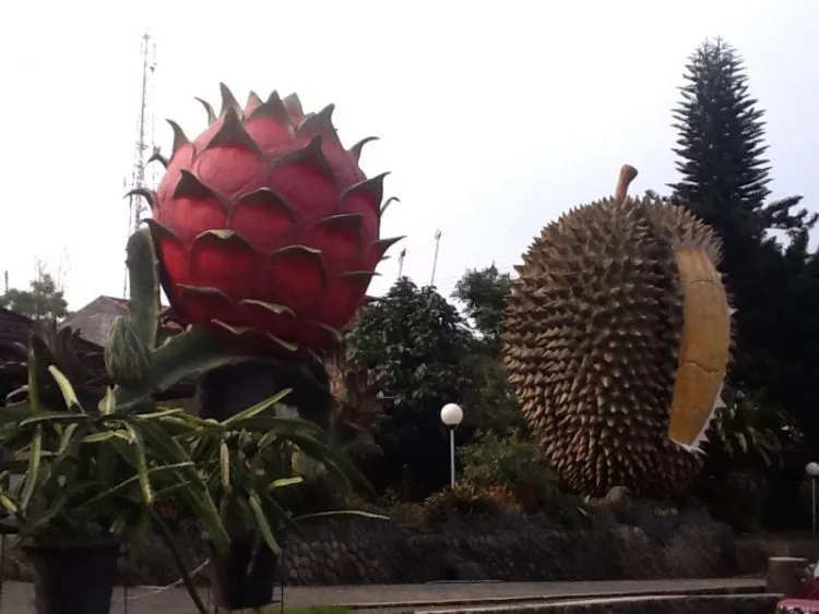 Destinasi Wisata Bogor, Bisa Masuk Daftar Kota Tujuan Liburanmu 22
