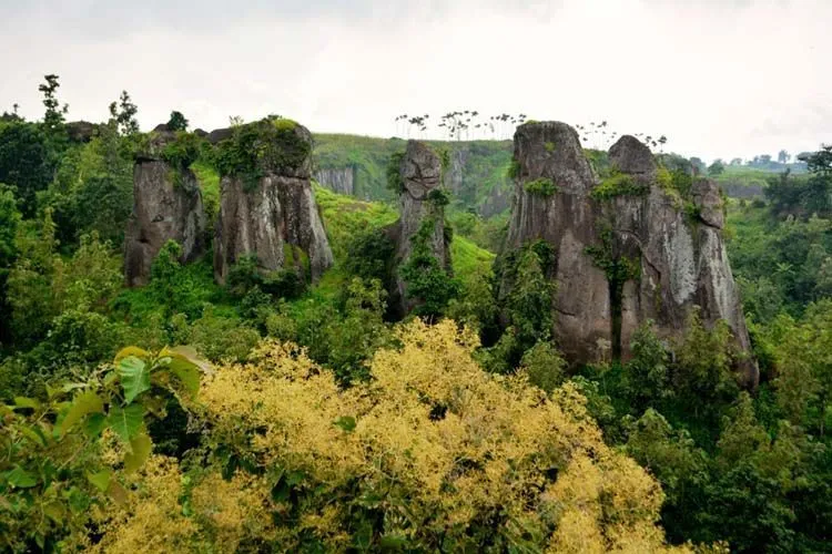 Di Balik Mungilnya Kabupaten Bondowoso, Ada Destinasi-destinasi Ini yang Seru Dikunjungi! 16