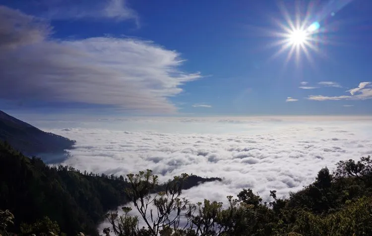 Di Balik Mungilnya Kabupaten Bondowoso, Ada Destinasi-destinasi Ini yang Seru Dikunjungi! 17
