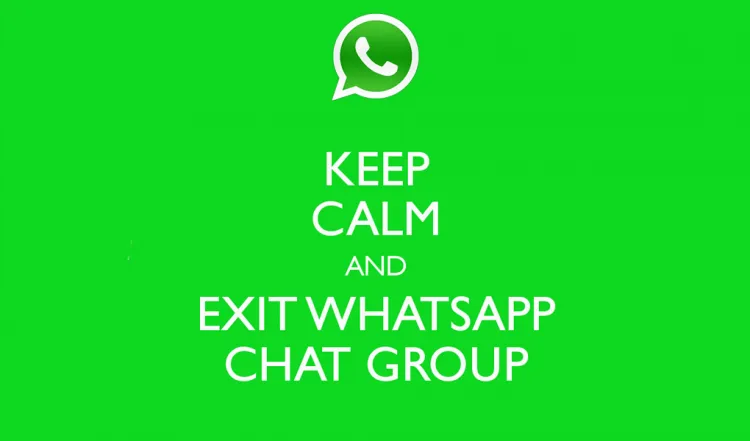 Mau Tahu Dia Temen Seperti Apa? Lihat Aja 11 Cara Dia Komentar Di WhatsApp Grup 21