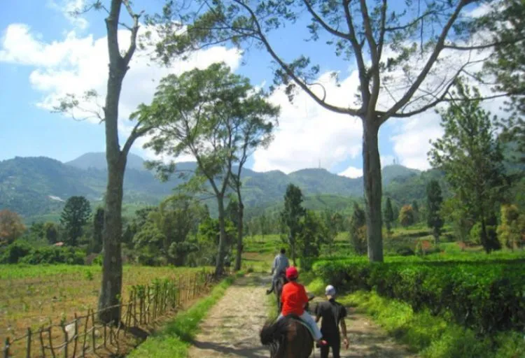 Destinasi Wisata Bogor, Bisa Masuk Daftar Kota Tujuan Liburanmu 18