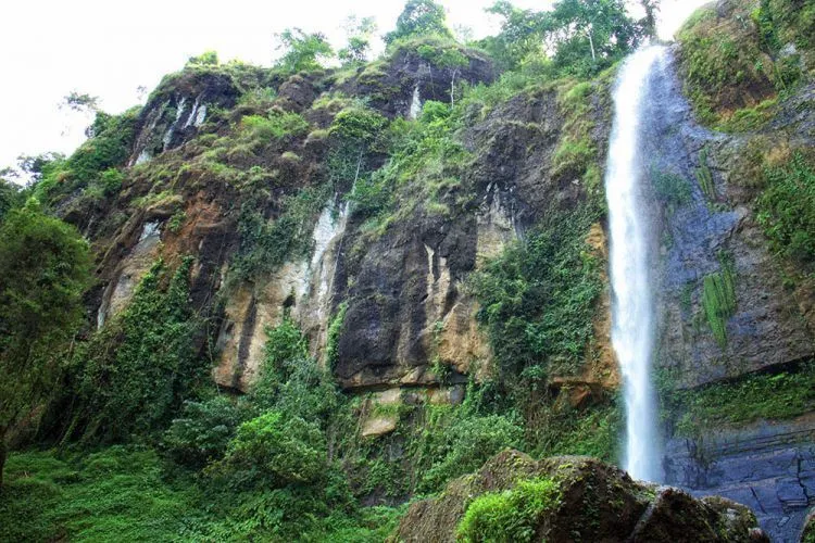 Kota Purworejo: Tempat Wisata, Keunikan dan Aneka Kulinernya 17