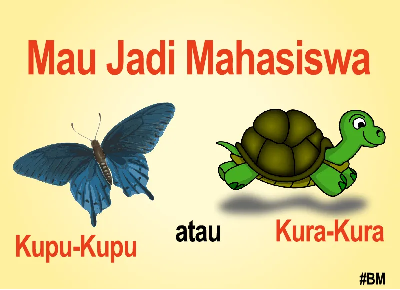 Mahasiswa Kupu-Kupu atau Mahasiswa Kura-Kura?