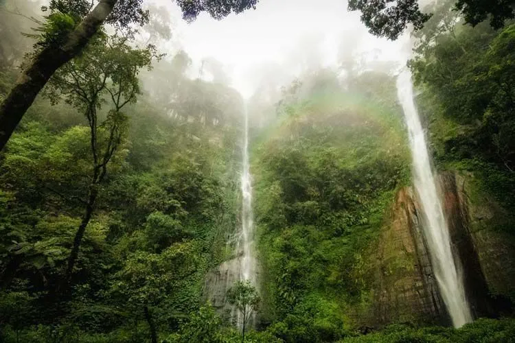 Di Balik Mungilnya Kabupaten Bondowoso, Ada Destinasi-destinasi Ini yang Seru Dikunjungi! 11
