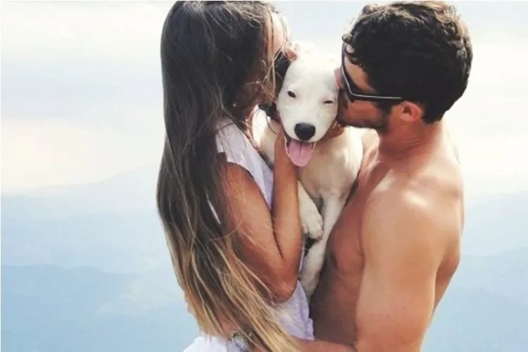Kamu Boleh Menganggap Anjing Itu Najis Atau Haram. Tapi, Tak Perlulah Harus Kejam.... 4
