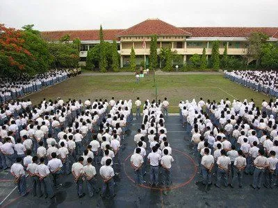 barisan favorit, baris deket pohon