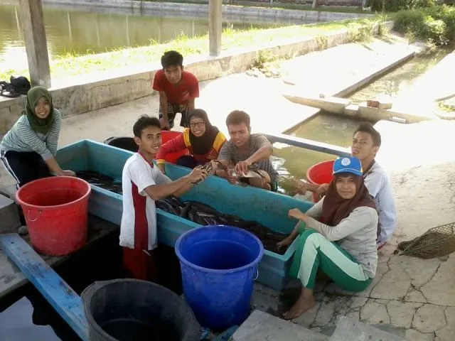 magang
