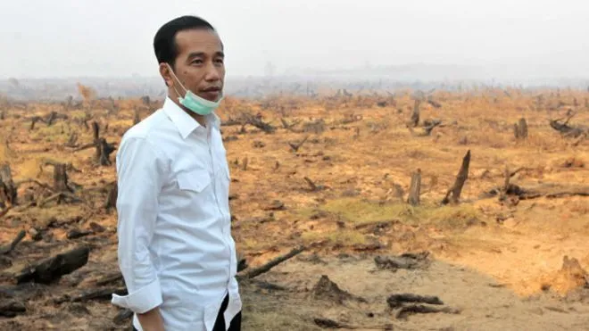 Kerugian Indonesia Karena Asap Kemarin = Dua Kali Biaya Rekonstruksi Pascatsunami Aceh 8